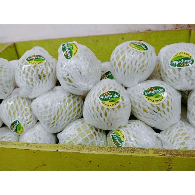 

jambu Cristal sunpred(500g)