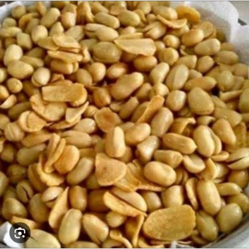 

kacang bawang premium