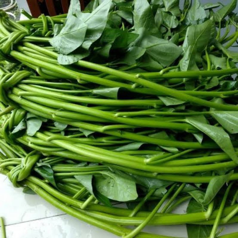 

Kangkung Lombok Aseli