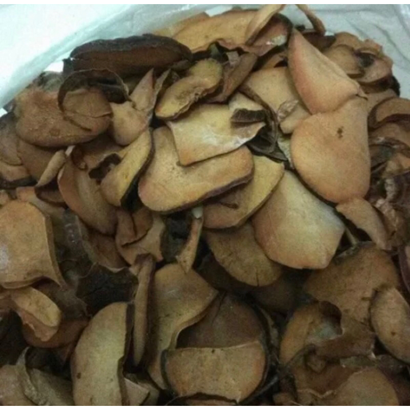 

BIJI ALPUKAT KERING JAMU TRADISIONAL