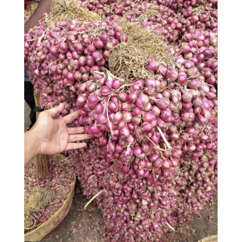 

Bawang merah murah/bawang merah berkualitas/bawang merah brebes