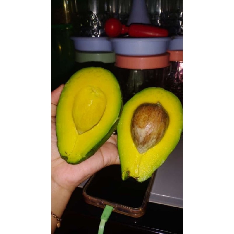 

Alpukat mentega Isi 3 mbajum