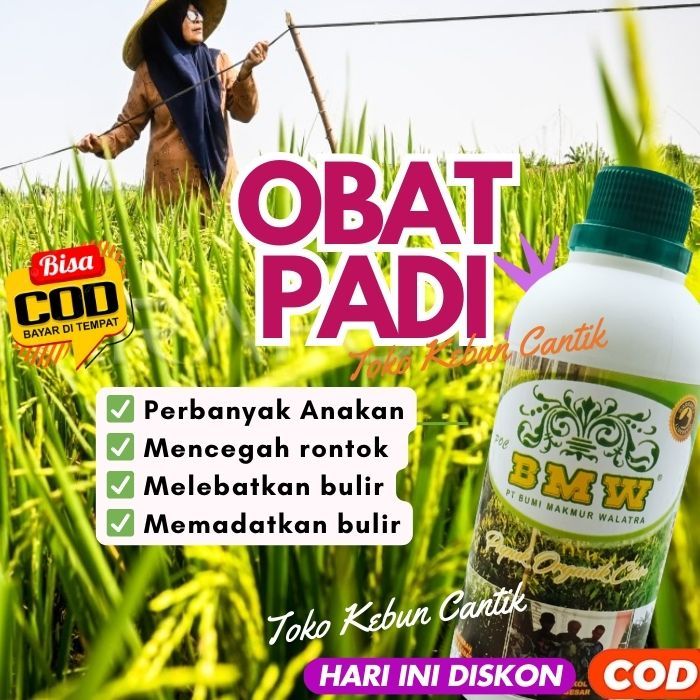Pupuk BMW Padi - Pupuk Daun untuk Padi Agar Cepat Berbuah dan Lebat, Solusi Pupuk Cair Berkualitas u