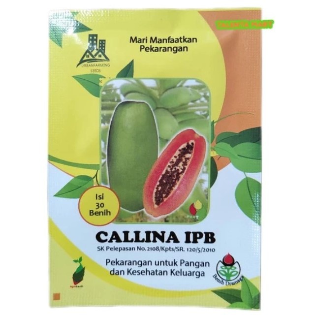 

30 BUTIR BENIH PEPAYA CALLINA IPB (IPB9) EXP 2026