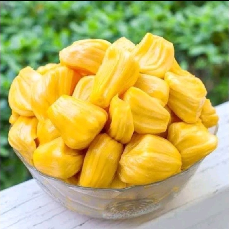 NANGKA KUPAS 1 KG