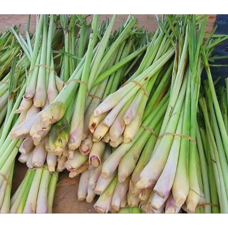 

serai / sereh segar baru ambil 1kg