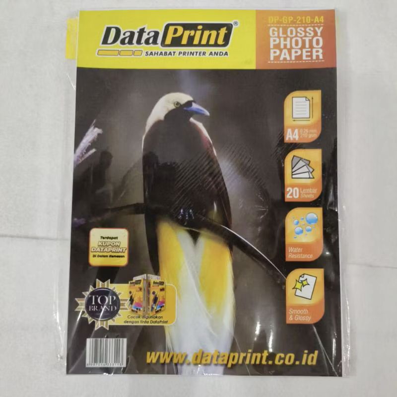 

Kertas Foto Glossy Data Print 210 gsm