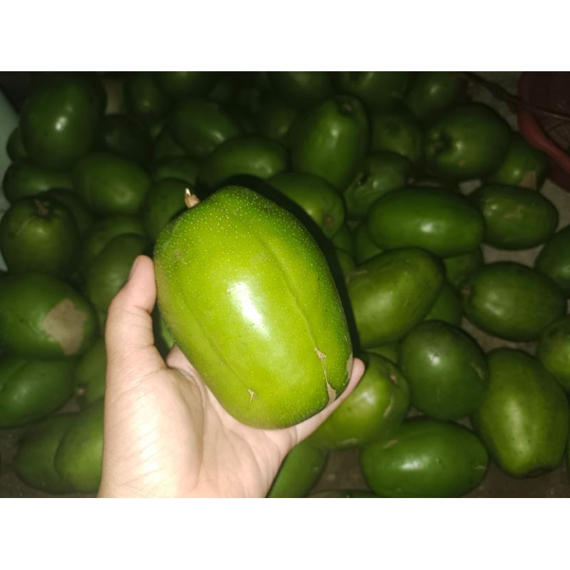 

Promo Dondong Super Dondong premium 1kg