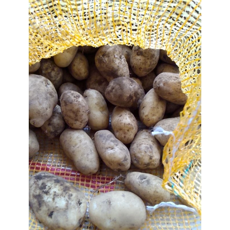 

kentang Granola/sayur khusus buat sayur harga murah meriah