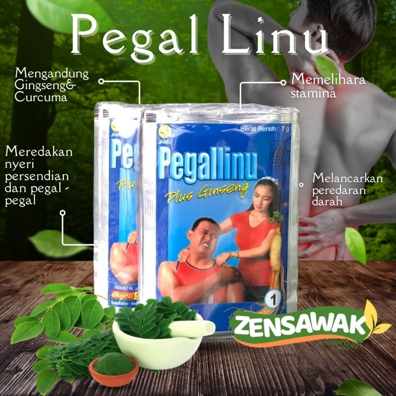 Jamu pegal linu Jamu capek Jamu sehat Jamu tradisional Obat tradisional Gujati 59