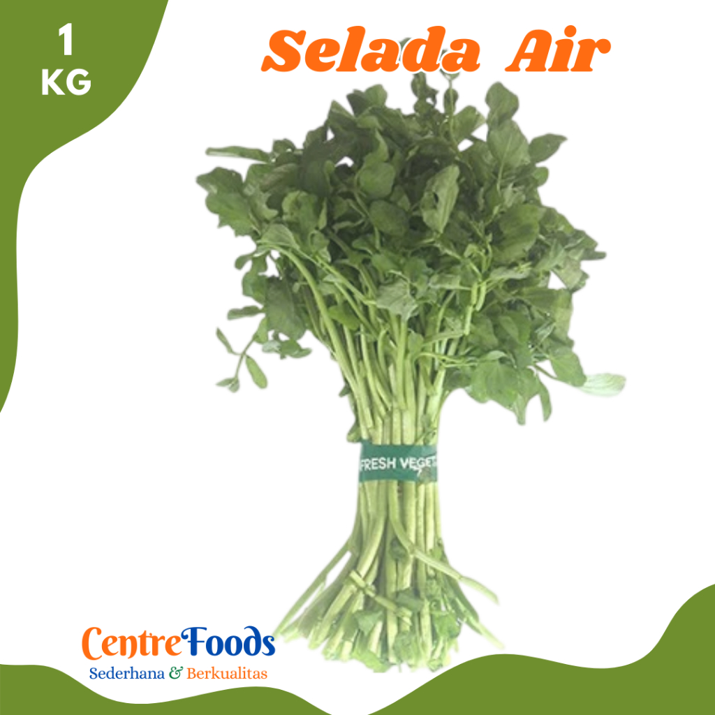 

SELADA Air - Sayur Salada Jembak Fresh | 1.000gr [ Harga Per KG ]