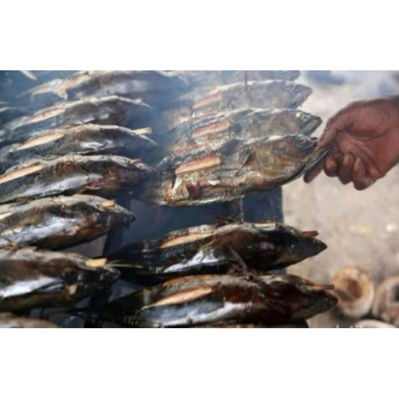 

Ikan Tongkol Asap/Bakar 1 ekor lengkap dengan sambel