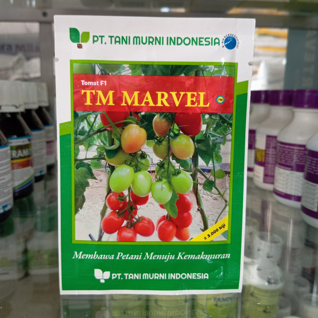 Benih tomat TM MARVEL F1 +- 3000 biji