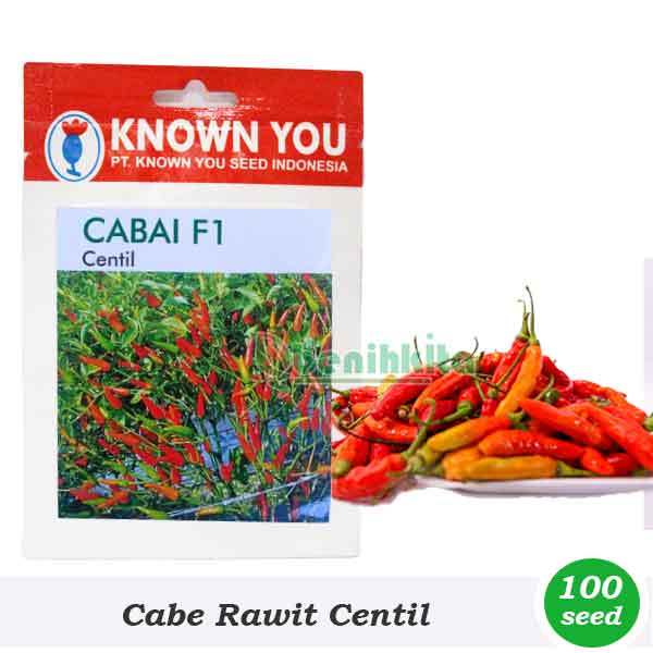 Benih Cabe Rawit Centil F1 | Bibit Known-You Seed Premium, Super Pedas & Buah Lebat