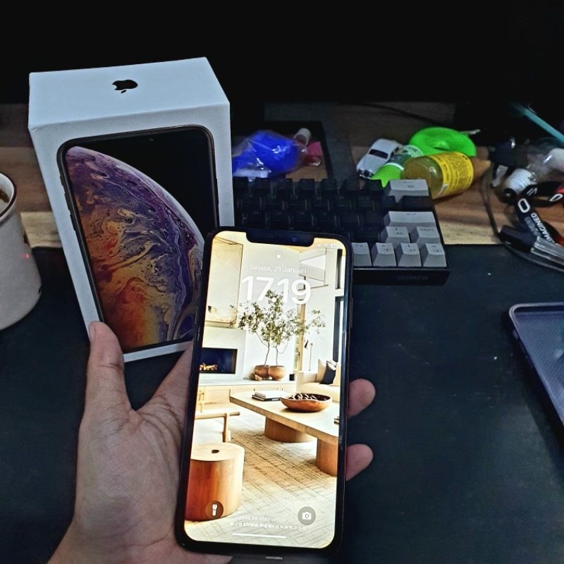 iphone xs max 256 gb