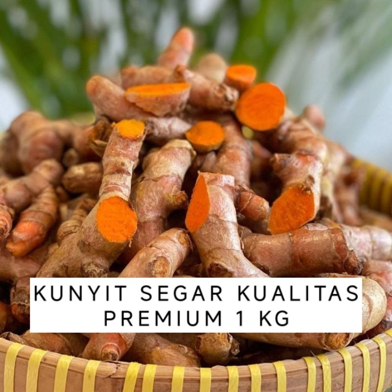 

GROSIR KUNYIT SEGAR KUALITAS PREMIUM 1 KG HARGA GROSIR