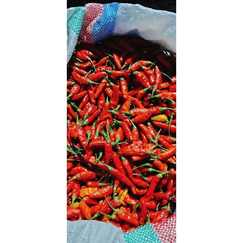 

Cabe rawit merah 2kg lebih hemat