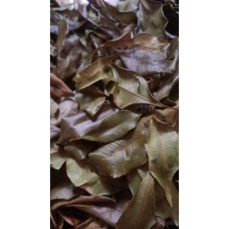 

Daun cengkeh kering pilihan