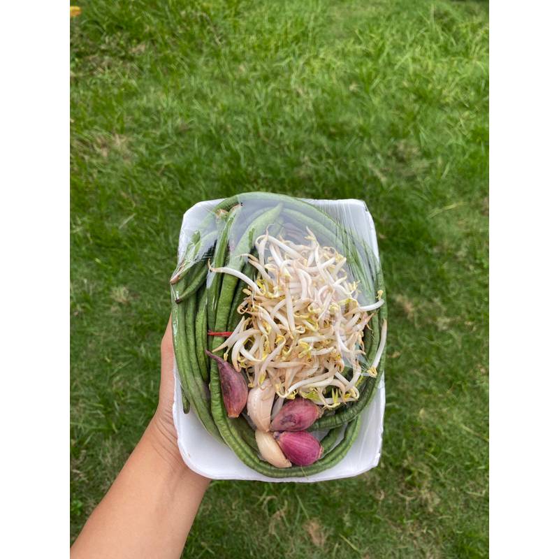 

Sayuran Prep / sayuran / terong / jagung / buncis / tumis toge