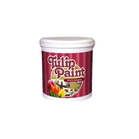Cat Tembok Tulip Paint 5 KG Warna Spesial