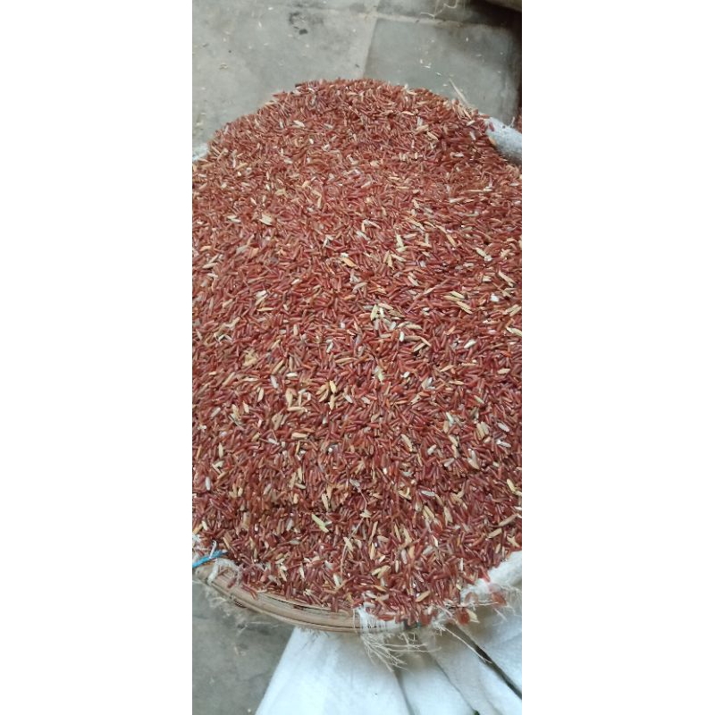 

beras merah sosoh pakan ayam