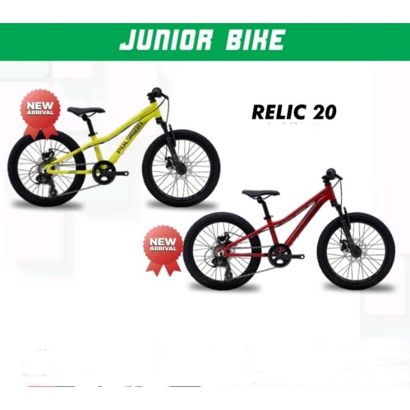 SEPEDA GUNUNG ANAK MTB POLYGON RELIC 20