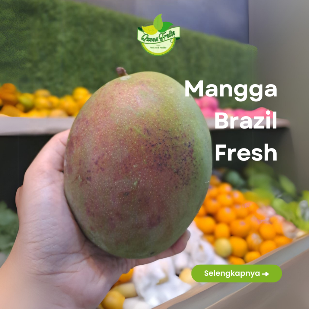 

Mangga Brazil Fresh Kualitas Terjamin
