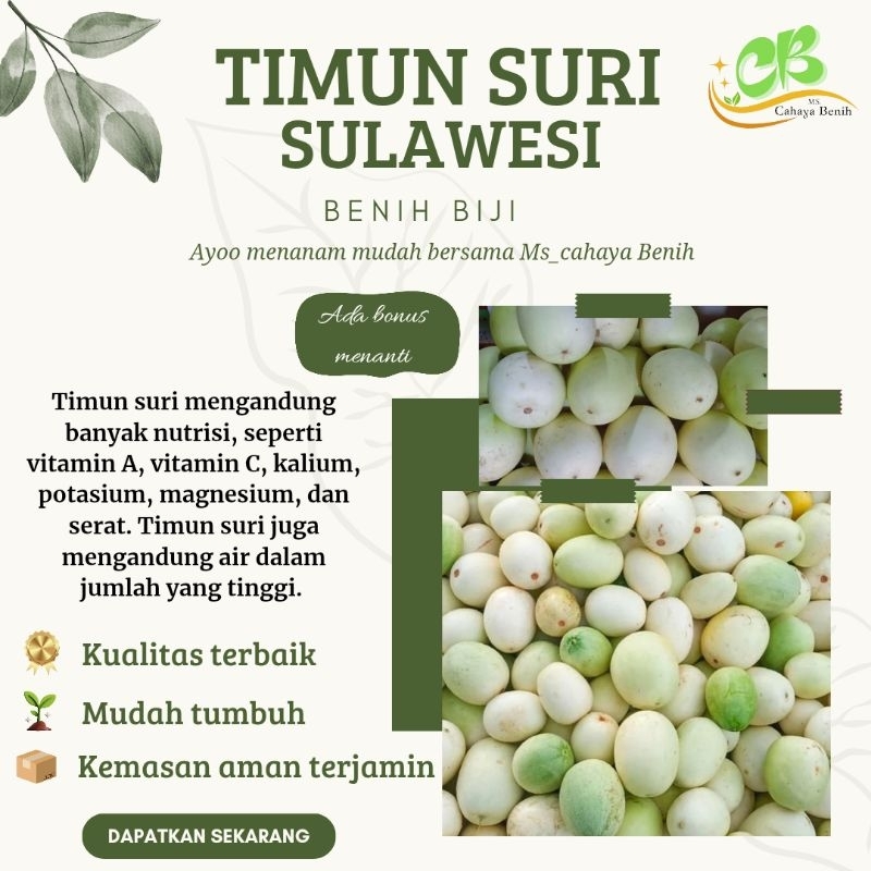 Benih Timun suri sulawesi/ Bonteng suri putih sulawesi isi (2000 biji), timun manohara