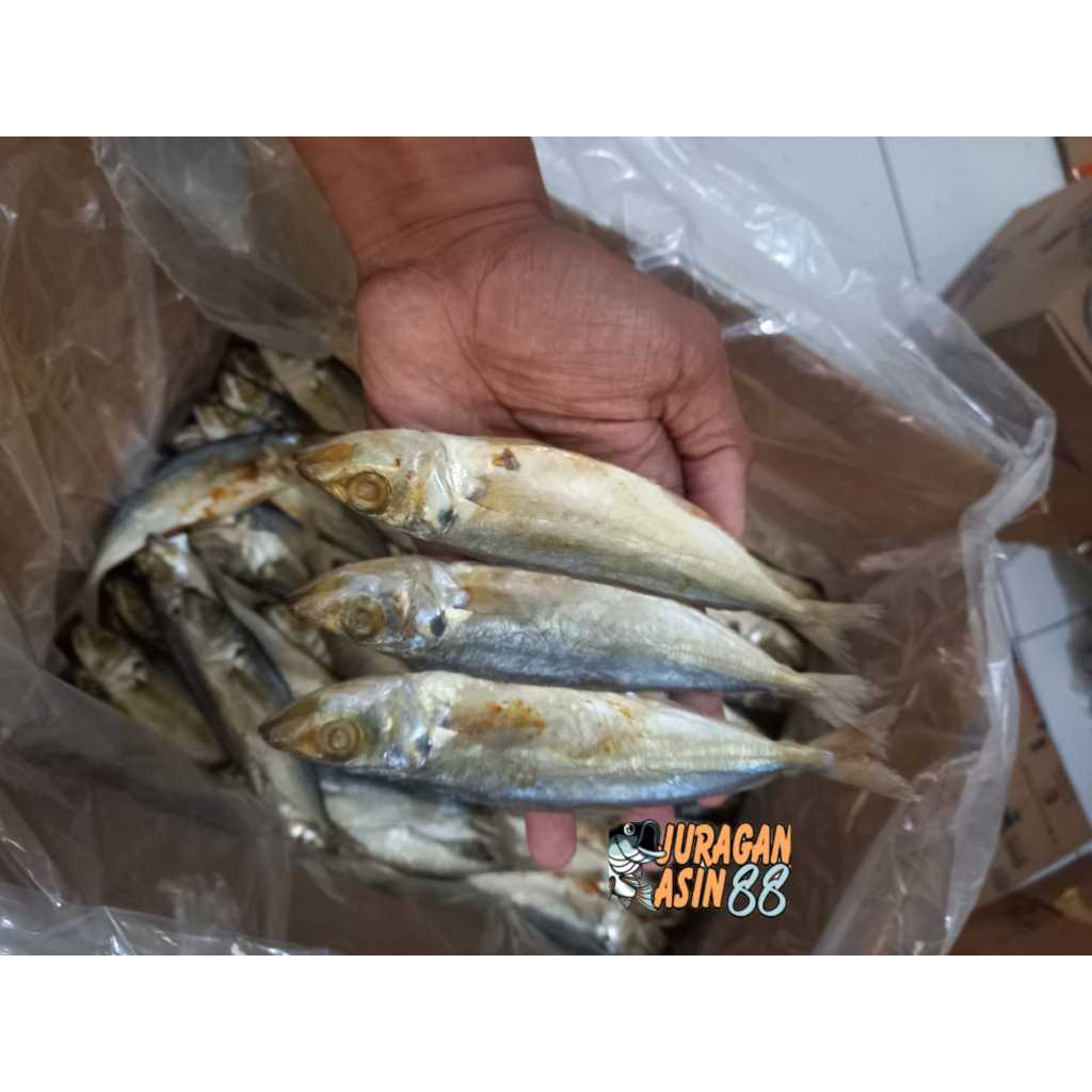 

ikan asin klotok layang / klotok layang super 1 kg murah