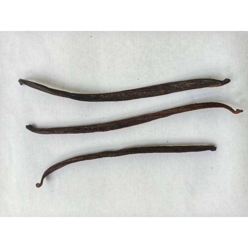 

Vanili/Vanilla Murah Panjang 11-15 CM