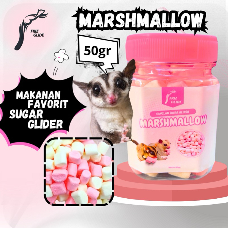 MARSHMALLOW SUGAR GLIDER HAMSTER LANDAK TUPAI TERBANG