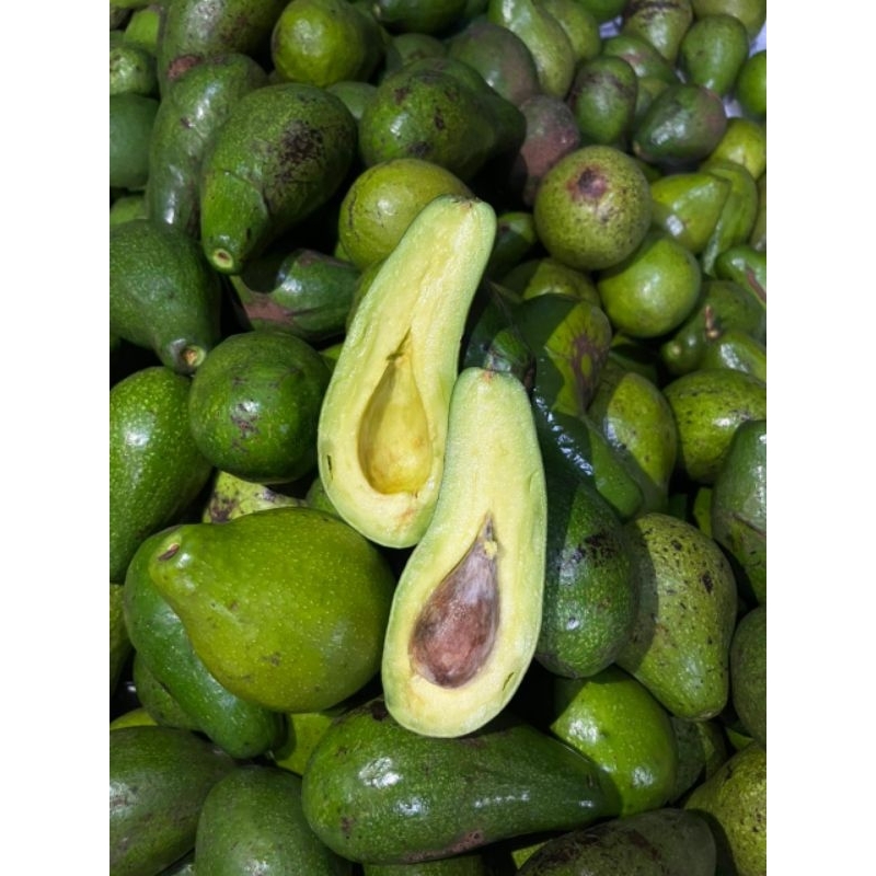 

apokat mentega 1kg