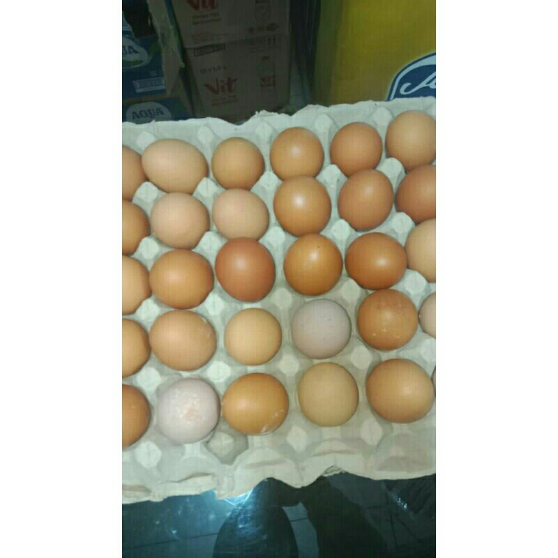 

telur 1/2 kg