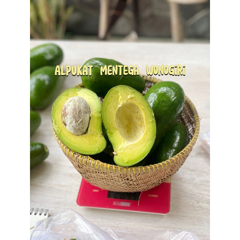 

Alpukat mentega wonogiri 1 kg super