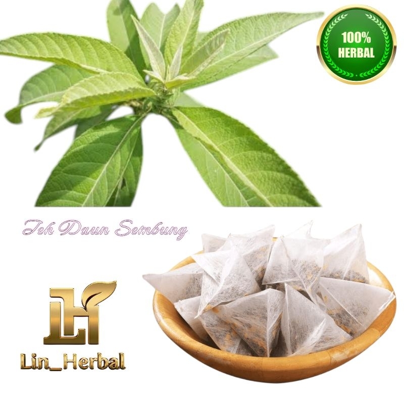 

Teh Celup Daun Sembung Obat Kolesterol Per Pack Isi 10