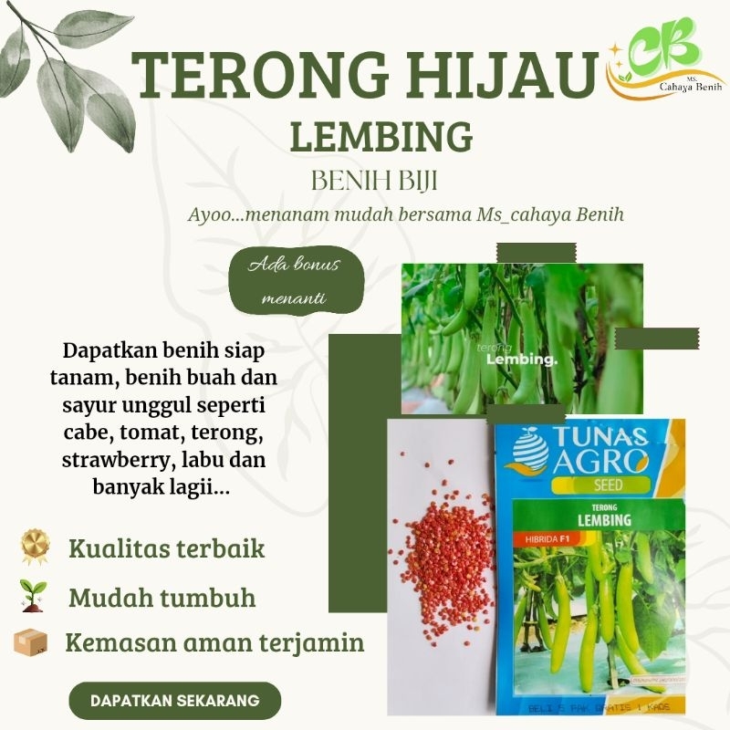 250 Benih terong hijau panjang LEMBING-TUNAS AGRO