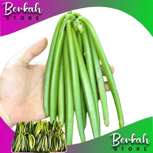 

VANILA BEAN PREMIUM (BIJI VANILI ) VANILLI BASAH PER BATANG