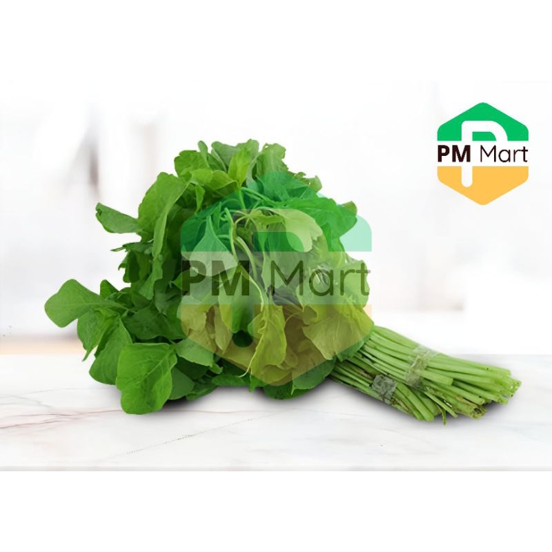 

Sayur Bayam Segar 1 ikat
