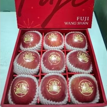 

Buah Apel Fuji Tatto 1 dus isi 9