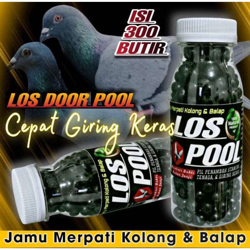 PIL LOSDOR POOL Jamu Merpati Kolong dan Balap isi 300 Pil Cepat Giring Keras paling ampuh dalam 2 ha