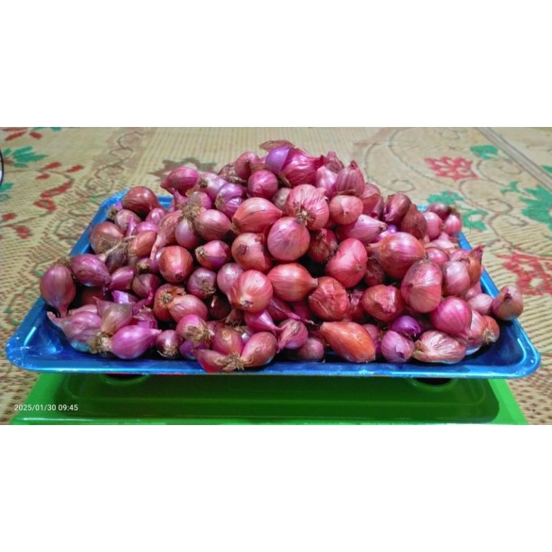 

Bawang merah Jawa Super 500gr