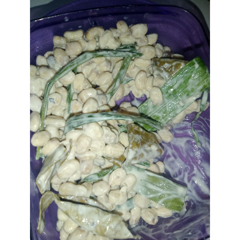 biji jarak fermentasi umpan bawal gacor