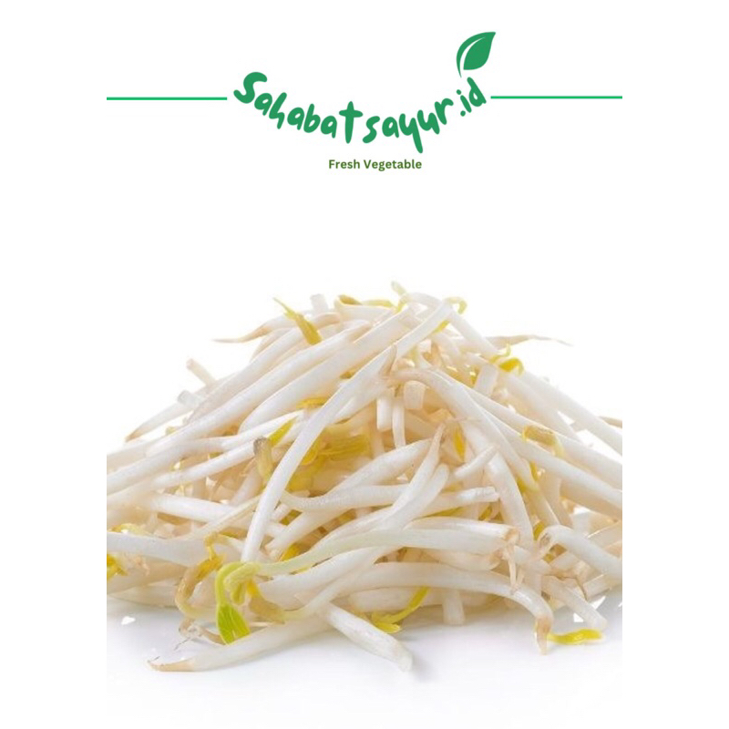 

Tauge panjang / Cambah 250gr - 500gr -Surabya