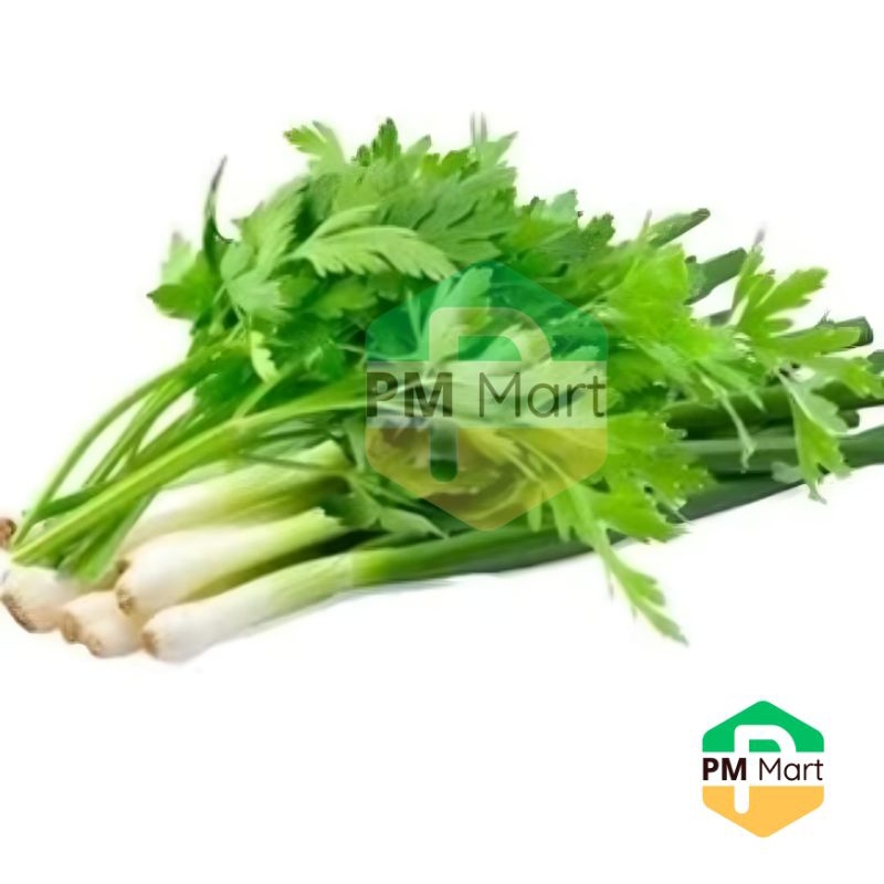 

Sayur Daun Bawang & Daun Sledri Onclang Segar 100 Gram