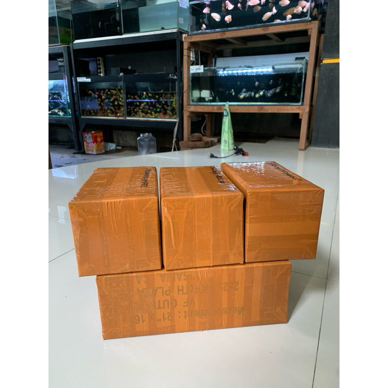 

KARDUS PACKING Blue Pulchra Chana