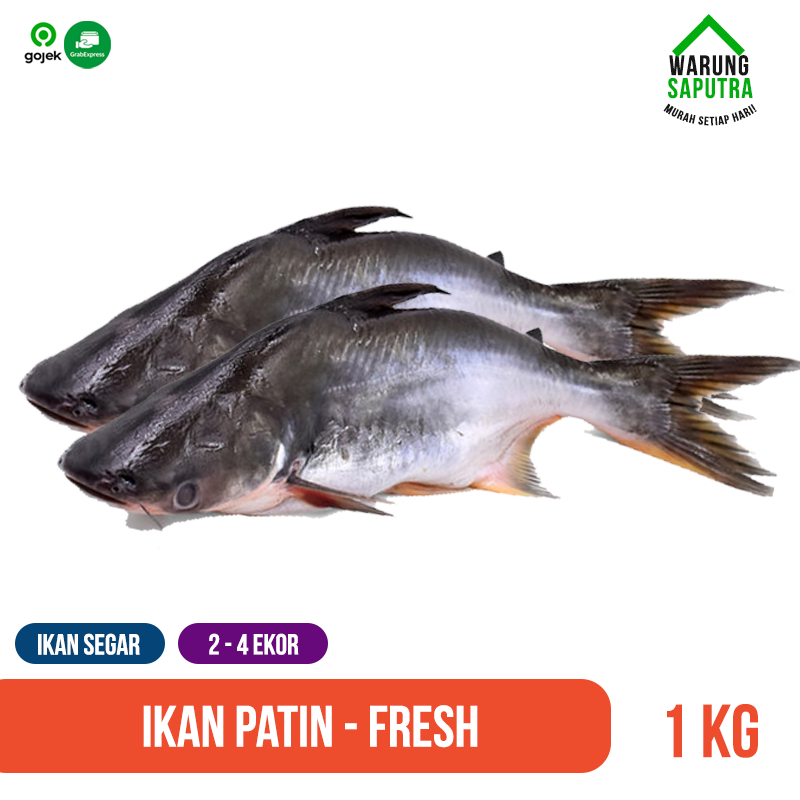 

Ikan Patin / Catfish Mati Segar Utuh 1 kg