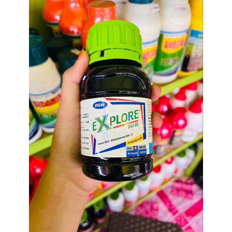 FUNGISIDA DGW EXPLORE 250 EC 250ml