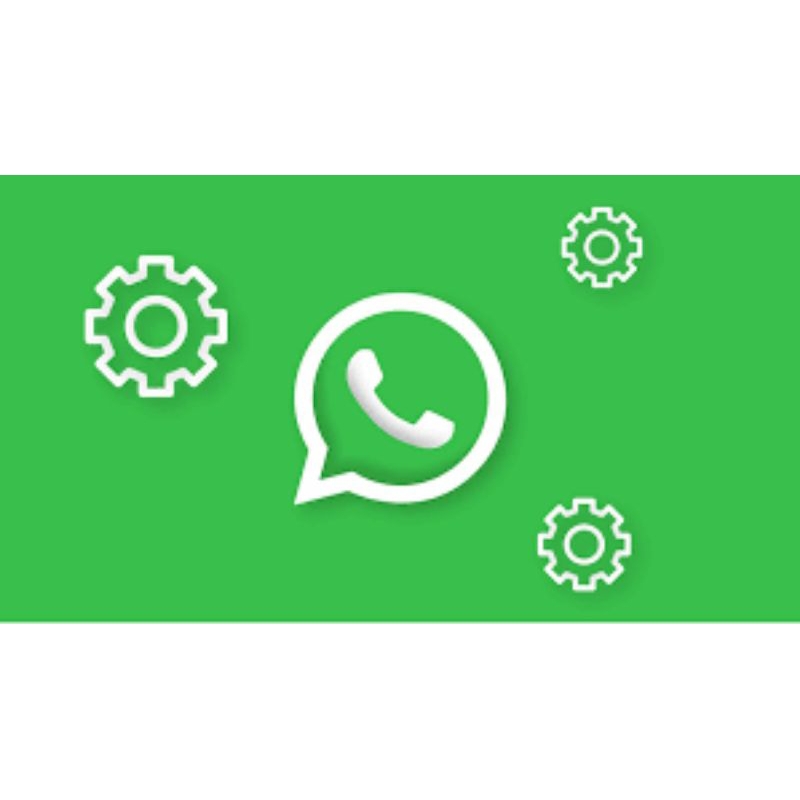 nomor kosong WhatsApp