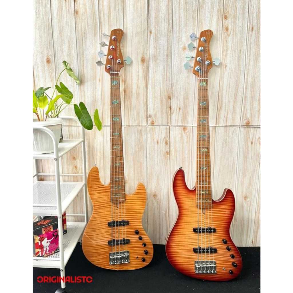 Bass Elektrik (2nd) 5 string - Sire V10 5 string NT/TS