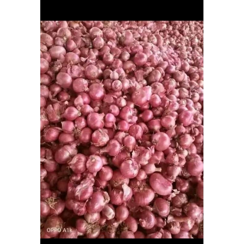 

Bawang Merah Kecil Murah